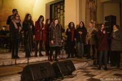 IMG_7784-1-1