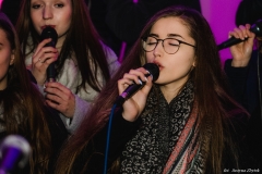 IMG_7678-1-1-2