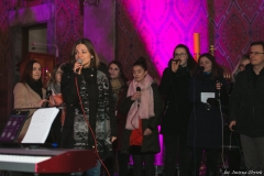 IMG_4736-1-1-2