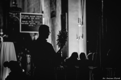 IMG_4871-1-1-2