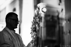 IMG_4873-1-1-2