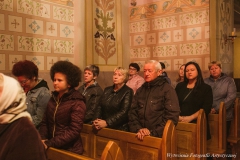 IMG_6295-1-1