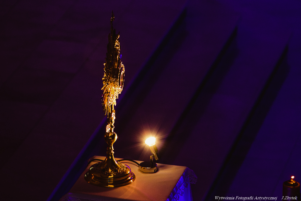 IMG_0528-1-1-2