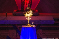 IMG_0495-1-1-2