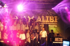 alibi (28)