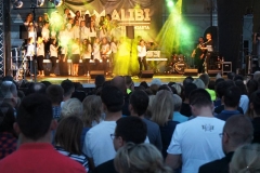 alibi (32)