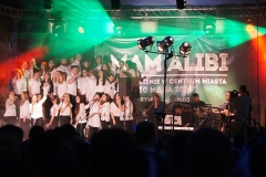 alibi (33)