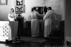 DSC02340-1-1-2