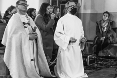 DSC02386-1-1-2