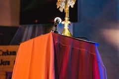 DSC02408-1-1