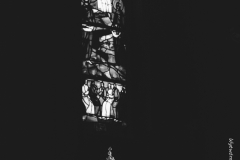 61